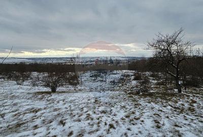 Teren de 10000 mp, în Rădășeni - 11