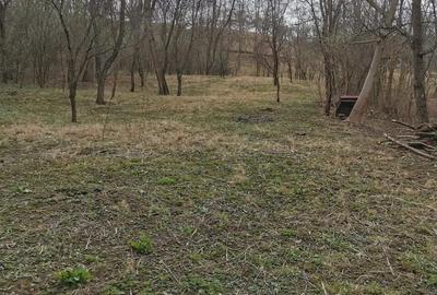 Casă cu 2 camere cu Teren 1960 Mp în Teișani - 2