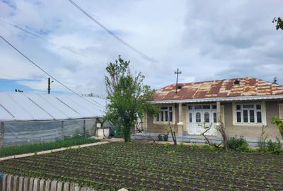 Casă cu 2 camere în Drumul Carului - 2