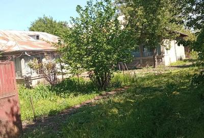 Casă cu 3 camere cu Teren 2588 Mp în Suhaia