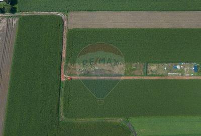 Teren de 1100 mp de vanzare in Stupini - 11