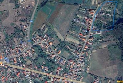 Domeniu de 13.500 mp:potential investitie fabrica de caramida,Viforoasa,Mures