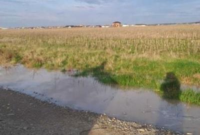 Teren de 20000 mp, în Nojorid - 1