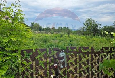 Comision 0! Casa din inima Subcarpaților — comuna Cislau, teren 5000mp - 16