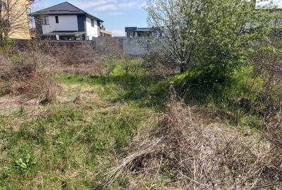 Spațiu comercial, în Domnești - 5