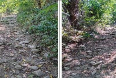 Teren Buciumeni, ID: R2431873 - 7