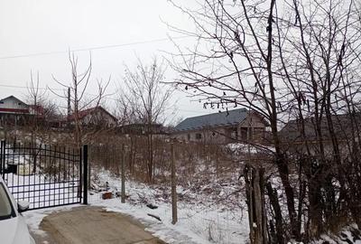 Teren de 1490 mp, în Secuia - 6