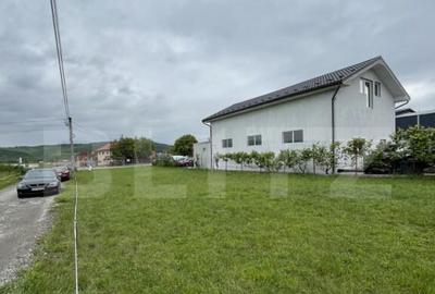 Teren de 11 ari la drumul principal in Vii?oara ideal - 6