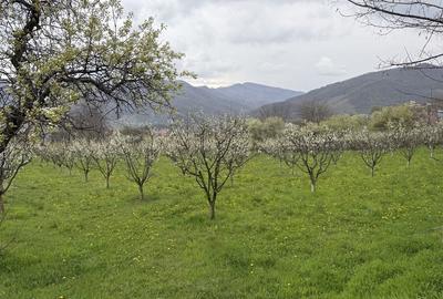 Spațiu comercial, în Central - 13