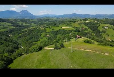 Casă cu 3 camere cu Teren 12000 Mp în Vulcan - 2