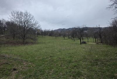 Casă cu 3 camere în Costești - 3