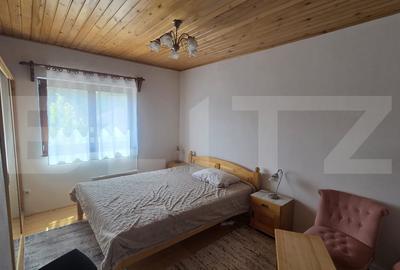 Casa de vacanca cu potential turistic, 1603 mp teren, Cernatesti - 6