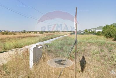 Teren lotizat 4,650mp Sabareni / Strada Cereanca - 6