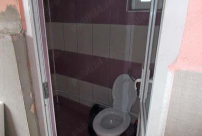 Vila, Becicherecul MIC, P+M, 4 camere, teren 500mp, la cheie - 16