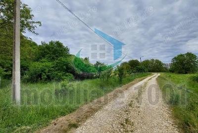 Teren intravilan 2510 mp, Livezilor, Somcuta Mare, zona cu potential de dezvoltare turistic - 2