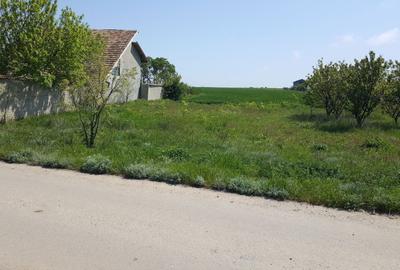 Spațiu comercial, în Sud - 6