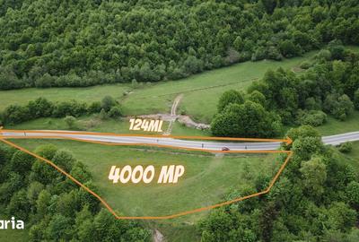 Teren de 4000 mp, în Babarunca - 8