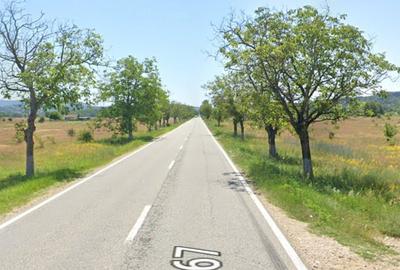 Teren de 5777 mp, în Polovragi