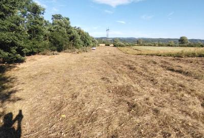 Teren de 3200 mp, în Culcea - 5