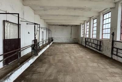 Spațiu comercial, în Brestovăț - 3