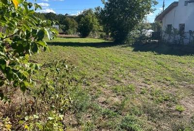 Teren Construcții intravilan de 1000 mp, în Snagov - 4