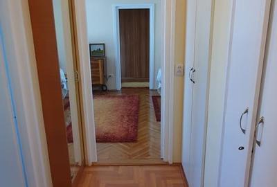 Apartament cu 2 camere semidecomandat în Cristian - 6