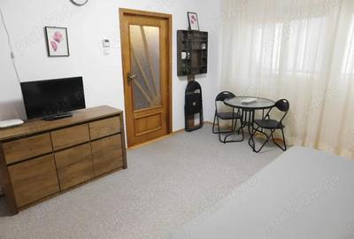 Apartament cu o camera mobilat , etajul 1, strada Hipodrom, langa Ben Electroserv, 30 m2 - 1