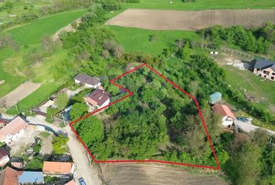 Teren de 3269 mp, în Slimnic - 7