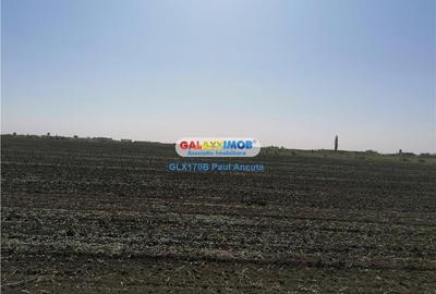 Teren 25000 mp Corbeanca str Floarea Soarelui cu PUZ Lotizat - 2