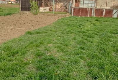 Casă cu 5 camere în Central - 1