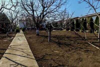 Casă cu 4 camere în Central - 5