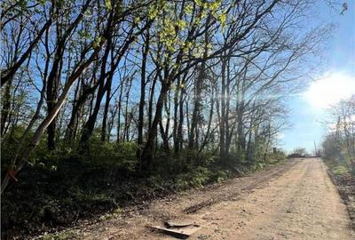 RECO teren de in zona de Dealuri Oradea - 2