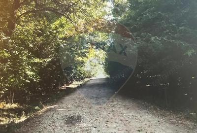 Teren de 1430 mp, în Ciofliceni - 3