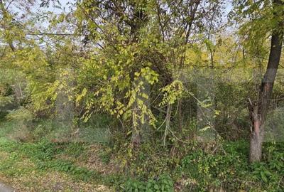Teren intravilan in Comuna Razvad 1950mp cu acces la princip - 2