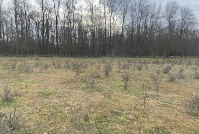 Teren agricol intravilan de 950 mp, în Est