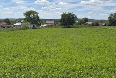 Teren de 27 mp, în Mitocu Dragomirnei - 9