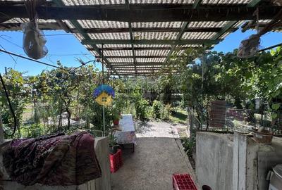 Casa + teren de vanzare - Zanesti - 17
