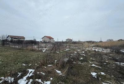 COMISION 0% | Teren de Vanzare in Sacalaz | Front 20m | 605mp - 1