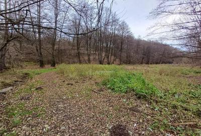 Resita, Teren Drept Intravilan, Langa Prau si Drum, 1308 Mp. - 1