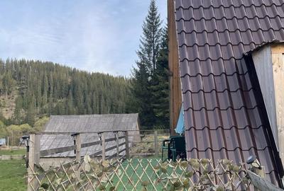 Casă cu 2 camere în Poiana Horea - 2