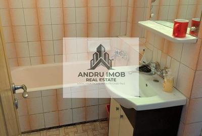 Apartament cu 2 camere decomandat în Dristor - 11