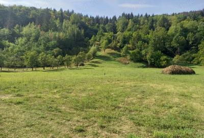 Teren de 2217 mp, în Central - 3