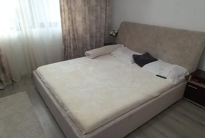 Vanzare proprietate- casa si teren Gheboieni Dambovita - 10