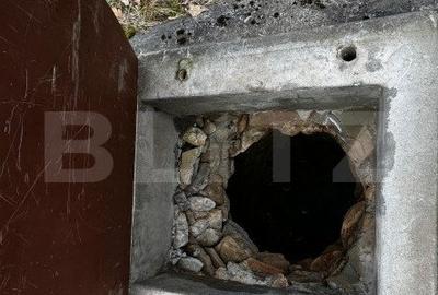 Proprietate cu 2 case, teren 2ha, zona Zlatna - Muntii Apuseni - 8