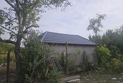 Casă în Furculești - 4