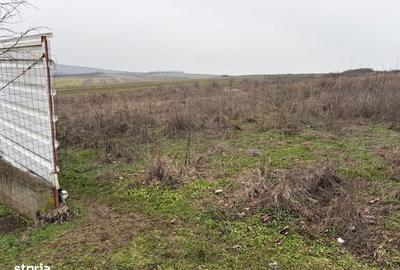 Spațiu comercial, în Milești - 1