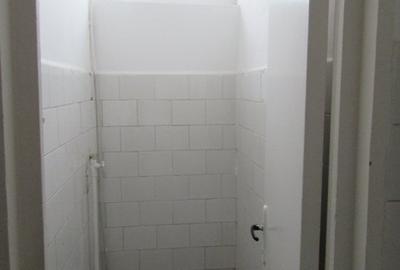 Inchiriere spatiu comercial Teiul Doamnei - 30