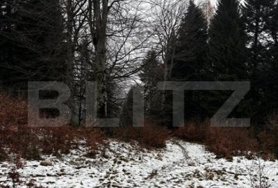 Teren unic, exclusivist 4000 mp, in inima muntilor, Sinaia - 10