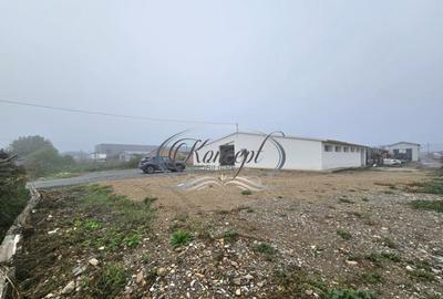 Hala la prima inchiriere, izolata termic, disponibila imedia - 5