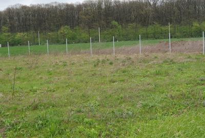 Teren Construcții intravilan de 1500 mp, în Ghermănești - 5